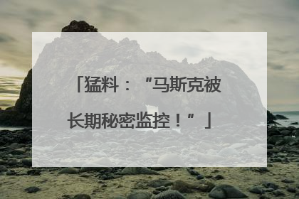 猛料：“马斯克被长期秘密监控！”